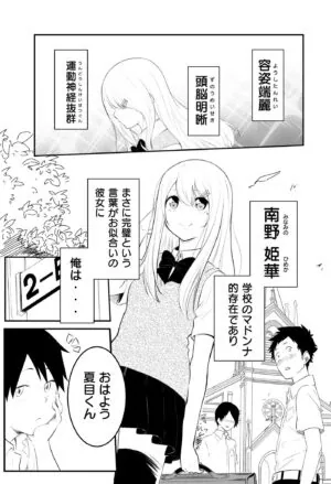 Sampul A Story About a Perfect Girl Gradually Breaking Down