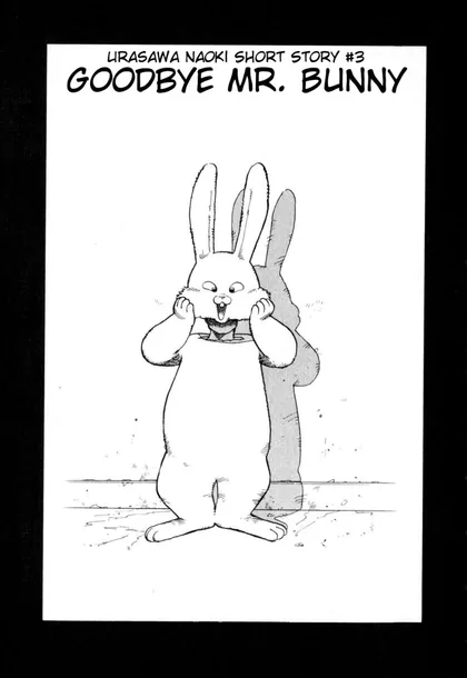 Sampul Goodbye Mr. Bunny
