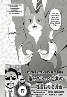Sampul The Black Cat Who Became The Director